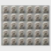 Papier Cadeau Coton de Tulear (Plat)