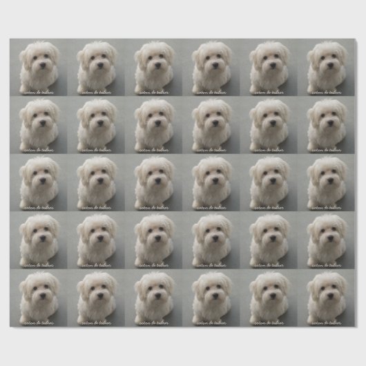 Papier Cadeau Coton de Tulear (Plat)