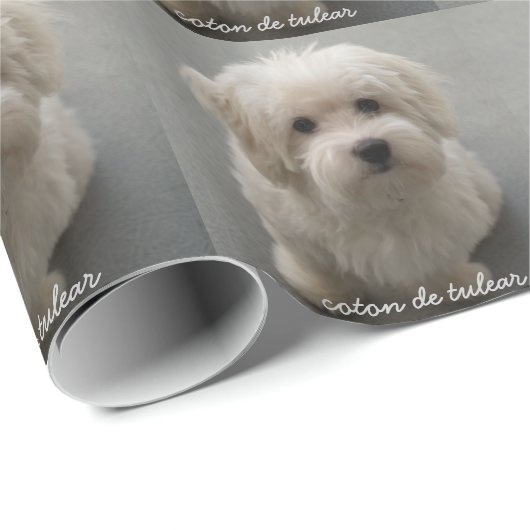Papier Cadeau Coton de Tulear (Coin rond)
