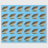 Papier Cadeau Coturnix Pharaoh (Plat)
