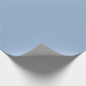 Papier Cadeau Couleur solide bleu poudré clair (Coin)