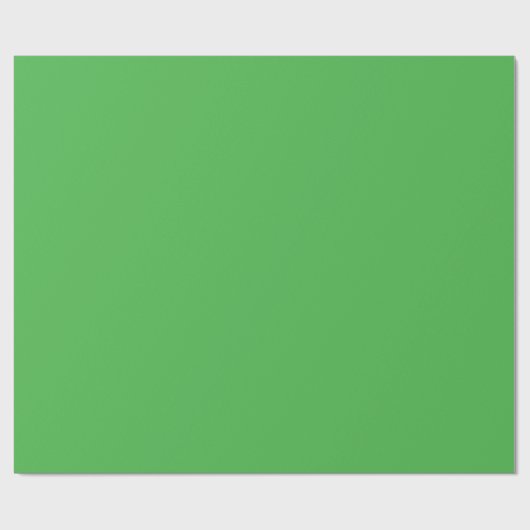 Papier Cadeau Couleur uni vert (Plat)