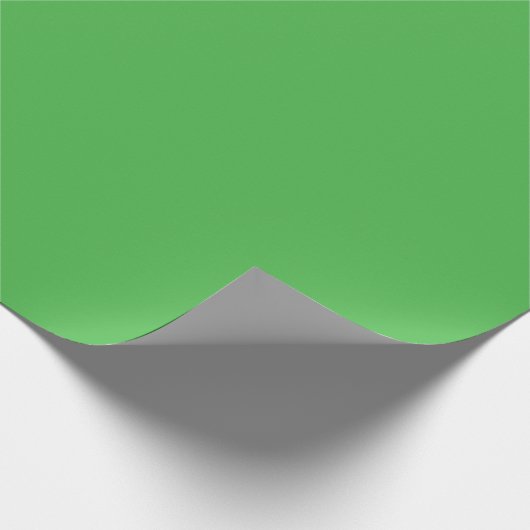 Papier Cadeau Couleur uni vert (Coin)