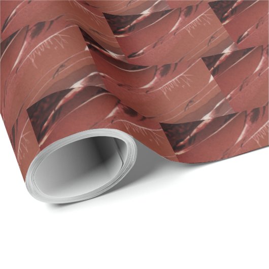 Papier Cadeau Couleurs de briques (Coin rond)