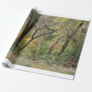 Papier Cadeau Couleurs de chute dans une forêt