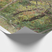 Papier Cadeau Couleurs de chute dans une forêt (Coin)
