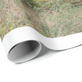 Papier Cadeau Couleurs de chute dans une forêt (Coin rond)