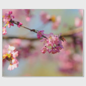 Papier Cadeau Couleurs Magiques Du Jardin Sakura (Plat)