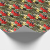 Papier Cadeau Country Garden Squash Nature Motif (Coin)