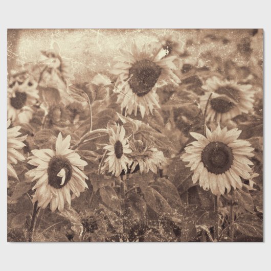 Papier Cadeau Coupage de texture florale Sepia de tournesol géan (Plat)