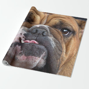 Papier Cadeau Coussin de jet de Bouledogue Anglais