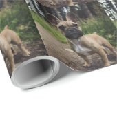 Papier Cadeau Coussin de lancer Bouledogue Français (Coin rond)