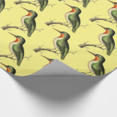 Papier Cadeau Cove Perché Tonnerre (Coin)