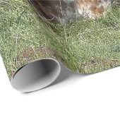 Papier Cadeau Cow Texas Longhorn Photo (Coin rond)