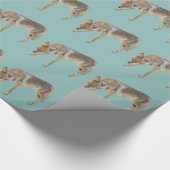 Papier Cadeau Coyote (Coin)