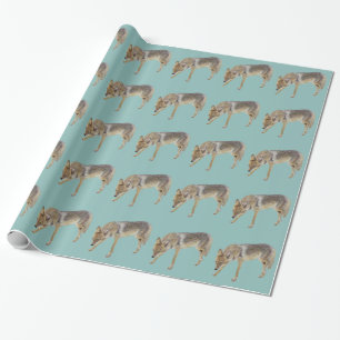 Papier Cadeau Coyote
