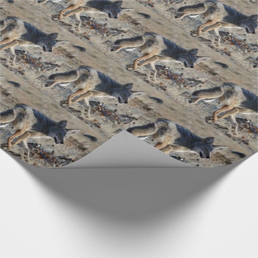 Papier Cadeau Coyote (Coin)