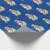 Papier Cadeau Crabe hermite (Coin)