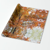 Papier Cadeau Création de carte d'arbre de érable de saison auto (Déroulé)
