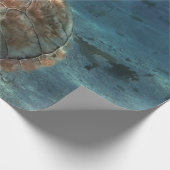 Papier Cadeau Créatures de la mer cool (Coin)