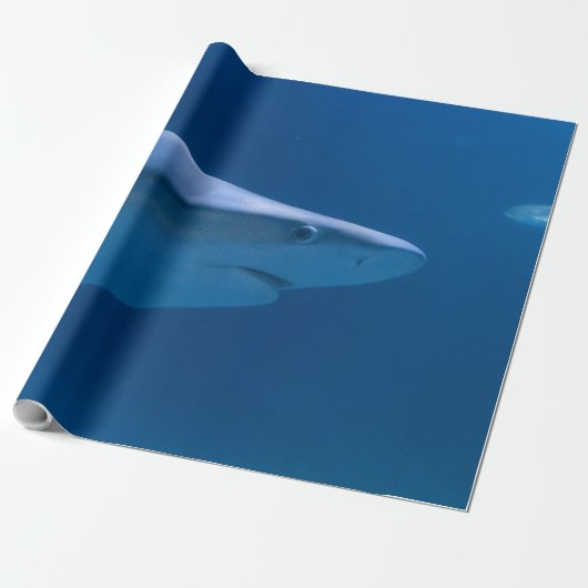 Papier Cadeau Créatures océaniques (Déroulé)