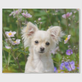 Papier Cadeau Crème lounghair mignonne Chihuahua Chien Chiot Chi (Plat)
