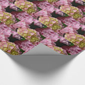 Papier Cadeau Crème rose Hydrangeas jaune rose vert floral (Coin)