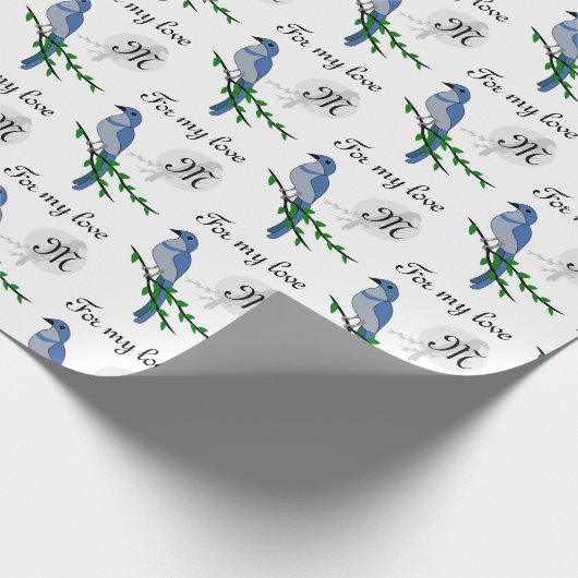 Papier Cadeau Crest de Floride (Coin)