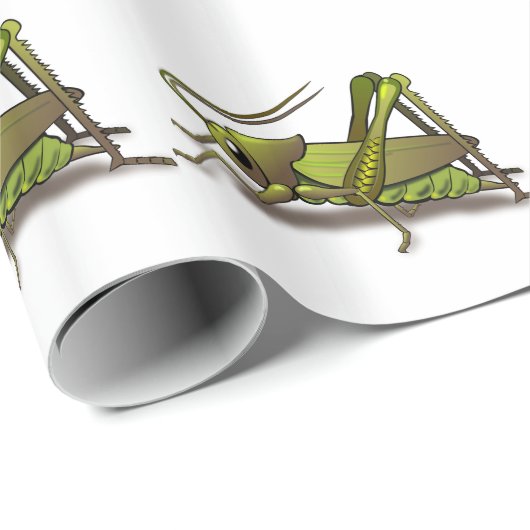 Papier Cadeau Cricket vert (Coin rond)