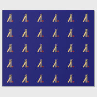 Cricket, wicket, chauve-souris et balle,