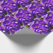 PAPIER CADEAU CROCUS DE PRINTEMPS (Coin)