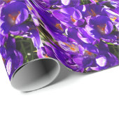 PAPIER CADEAU CROCUS DE PRINTEMPS (Coin rond)