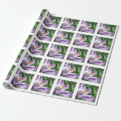 Papier Cadeau Crocus de printemps violet (Déroulé)