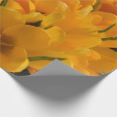 Papier Cadeau Crocus jaune flavus - Fleurs Jaune Doré (Coin)
