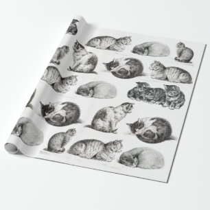Papier Cadeau Croquis de chat vintage 