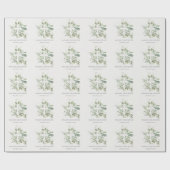 Papier Cadeau Croyant Rustique Eucalyptus Fern Folid (Plat)