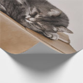 Papier Cadeau Cuisine Tabby Cat Gris Dormir Sur La Boîte (Coin)