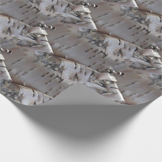 Papier Cadeau Curly Birch Bark Tree Rustic (Coin)