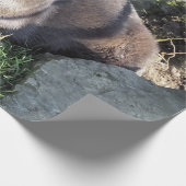 PAPIER CADEAU CUT ASIAN OTTER (Coin)