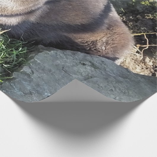 PAPIER CADEAU CUT ASIAN OTTER (Coin)