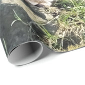 PAPIER CADEAU CUT ASIAN OTTER (Coin rond)