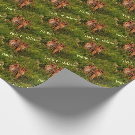Papier Cadeau Cute Baby Chipmunks Animal Art Personnalisé (Coin)