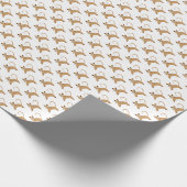 Papier Cadeau Cute chats fond d'écran transparent arrière - plan (Coin)