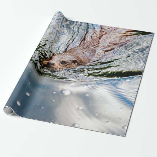 PAPIER CADEAU CUTE SEAL SWIMMING (Déroulé)