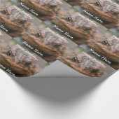 Papier Cadeau Cute Toad Frog Face Anniversaire (Coin)