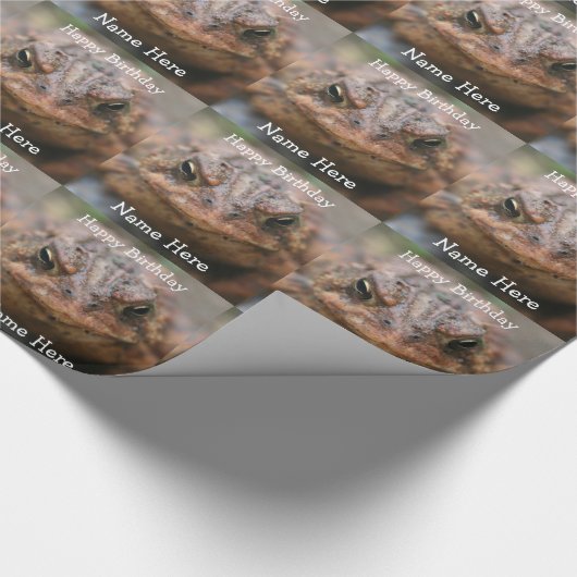 Papier Cadeau Cute Toad Frog Face Anniversaire (Coin)