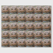 Papier Cadeau Cute Toad Frog Face Anniversaire (Plat)