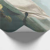 Papier Cadeau cygne audubon cygnes d'eau blanche (Coin)