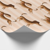 Papier cadeau Dachshund (Coin)