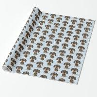Dachshund À poils durs| Teckel Chien mignon